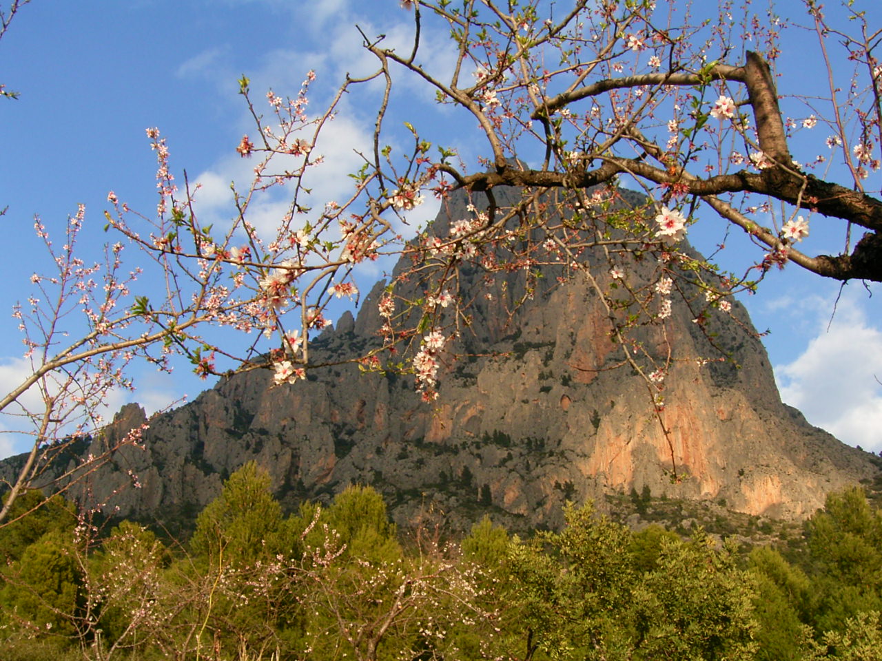 Puig Campana